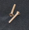 Skrue for h�ydejustering av singlecoil - Vintage nikkel