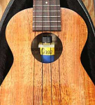 Oasis luftfukter for ukulele