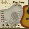 Newtone Master Class Double Wound 013-056